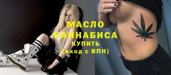 мдпв Осташков