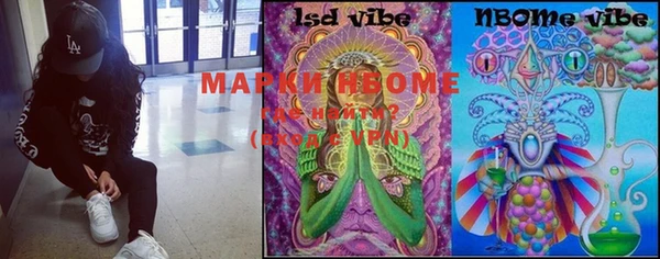 мдпв Осташков