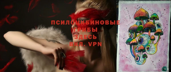 мдпв Осташков